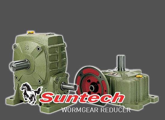 wormgear reducer
